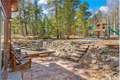 251 Haugen Slide Rd, Allenspark, CO 80510 - Photo 29