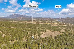 251 Haugen Slide Rd, Allenspark, CO 80510 - Photo 37