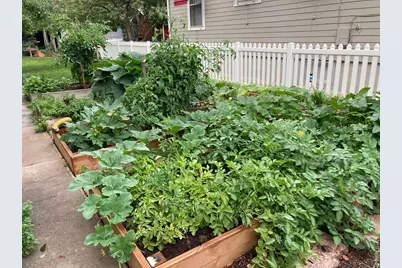 509 Locust St, Windsor, CO 80550 - Photo 31