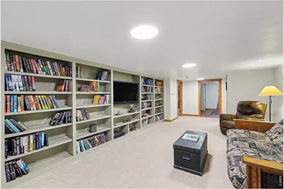 509 Locust St, Windsor, CO 80550 - Photo 19