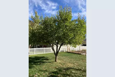 509 Locust St, Windsor, CO 80550 - Photo 41