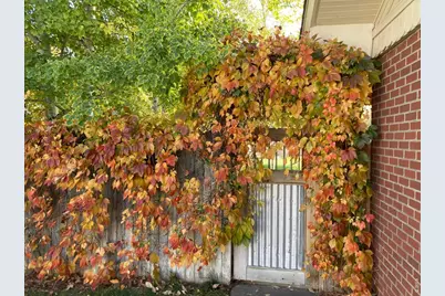 509 Locust St, Windsor, CO 80550 - Photo 43