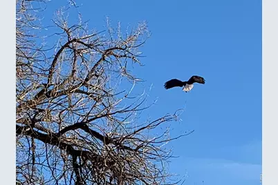 1605 Sunnyside Dr, Loveland, CO 80538 - Photo 41