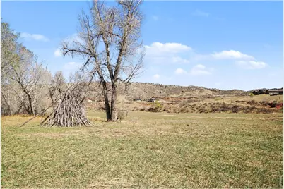 10723 Buckhorn Ridge Way, Loveland, CO 80538 - Photo 47