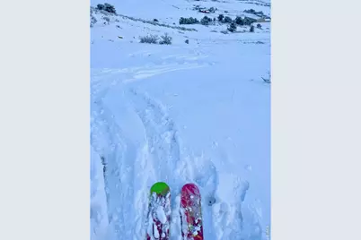 4750 S County Road 29, Loveland, CO 80537 - Photo 47