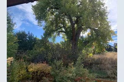 629 Deer Meadow Dr, Loveland, CO 80537 - Photo 31