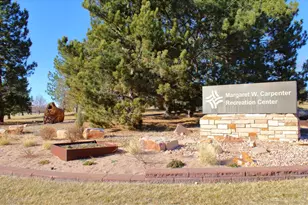 10381 Cook Way, Thornton, CO 80229 - Photo 31