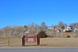 10381 Cook Way, Thornton, CO 80229 - Photo 27