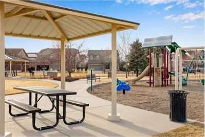 5728 Connor St, Timnath, CO 80547 - Photo 45