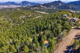 33090 Janelle Cir, Golden, CO 80403 - Photo 39