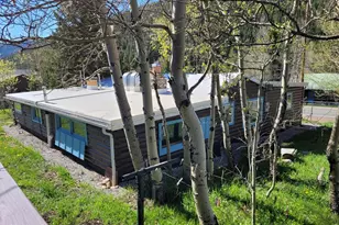 545 Eldorado Ave, Nederland, CO 80466 - Photo 39