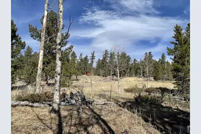 4347 N County Road 73C, Red Feather Lakes, CO 80545 - Photo 19