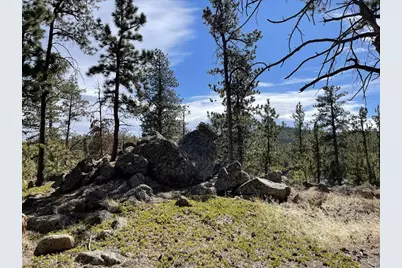 4347 N County Road 73C, Red Feather Lakes, CO 80545 - Photo 9