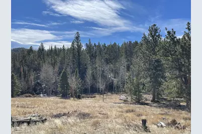 4347 N County Road 73C, Red Feather Lakes, CO 80545 - Photo 11