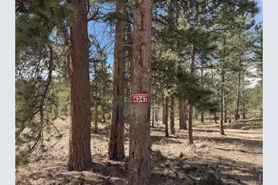 4347 N County Road 73C, Red Feather Lakes, CO 80545 - Photo 31