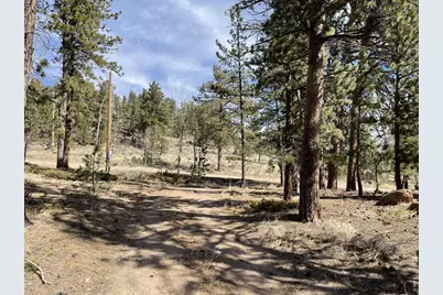 4347 N County Road 73C, Red Feather Lakes, CO 80545 - Photo 29