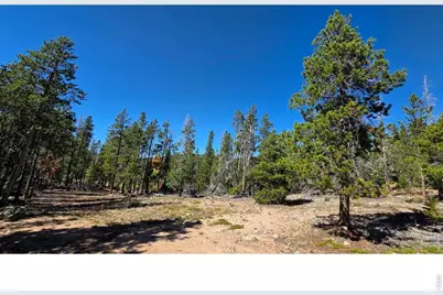 1367 Osage Trl, Red Feather Lakes, CO 80545 - Photo 5