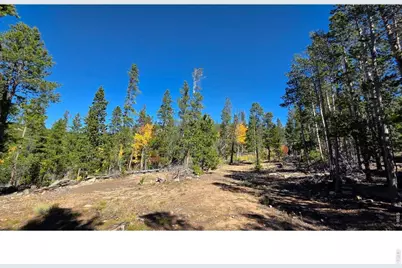 1367 Osage Trl, Red Feather Lakes, CO 80545 - Photo 9