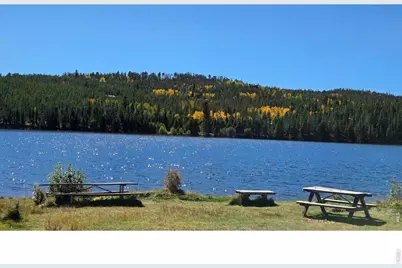 1367 Osage Trl, Red Feather Lakes, CO 80545 - Photo 13