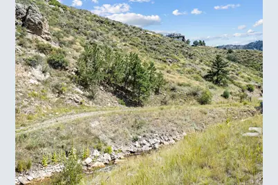 9981 County Road 43, Glen Haven, CO 80532 - Photo 15