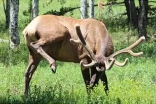 2728 Cumulus Dr, Estes Park, CO 80517 - Photo 37