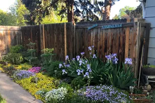 206 S Shields St, Fort Collins, CO 80521 - Photo 29