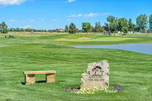 7078 Spanish Bay Dr, Windsor, CO 80550 - Photo 47