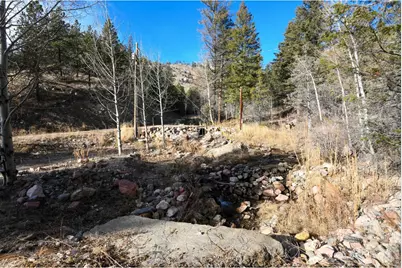 416 Black Creek Dr, Glen Haven, CO 80532 - Photo 7