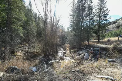 416 Black Creek Dr, Glen Haven, CO 80532 - Photo 41