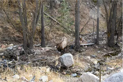 416 Black Creek Dr, Glen Haven, CO 80532 - Photo 3