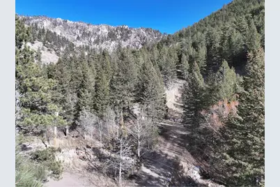 416 Black Creek Dr, Glen Haven, CO 80532 - Photo 13