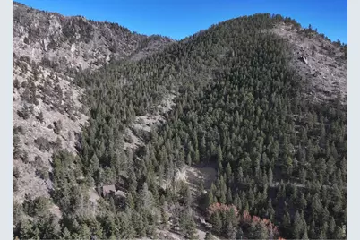 416 Black Creek Dr, Glen Haven, CO 80532 - Photo 15