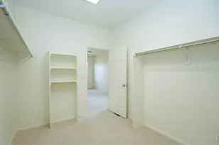 3610 Sunrose St, Wellington, CO 80549 - Photo 19