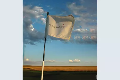 6309 Foundry Ct, Timnath, CO 80547 - Photo 41