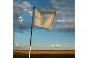 6309 Foundry Ct, Timnath, CO 80547 - Photo 41