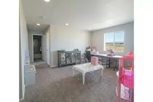 1637 Stoll Dr, Windsor, CO 80550 - Photo 25