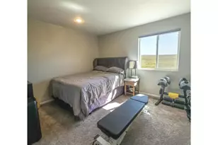 1637 Stoll Dr, Windsor, CO 80550 - Photo 17