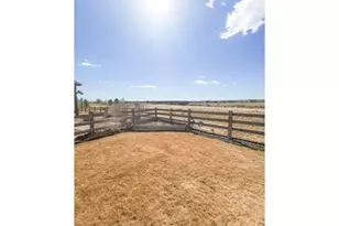 1637 Stoll Dr, Windsor, CO 80550 - Photo 31