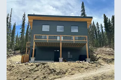 950 Gold Pan Ln, Fairplay, CO 80440 - Photo 3