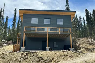 950 Gold Pan Ln, Fairplay, CO 80440 - Photo 3