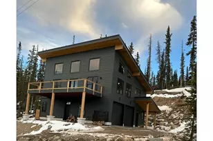 950 Gold Pan Ln, Fairplay, CO 80440 - Photo 1