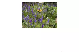 410 West St, Louisville, CO 80027 - Photo 33