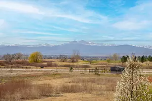 1853 Holloway Dr, Windsor, CO 80550 - Photo 23