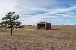 223 Timber Dr, Livermore, CO 80536 - Photo 35