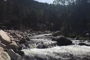 290 River Fork Rd, Drake, CO 80515 - Photo 11