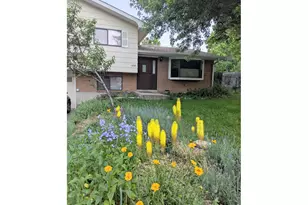 650 Hartford Dr, Boulder, CO 80305 - Photo 5