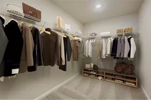 771 Wood Sorrel Ln, Fort Collins, CO 80524 - Photo 15