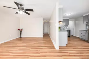 439 Dickson St, Longmont, CO 80504 - Photo 7