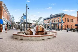 415 S Howes St #910 N, Fort Collins, CO 80521 - Photo 5