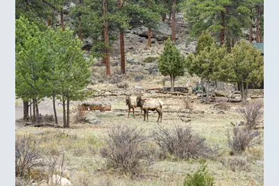 2415 Wild Bear Way, Estes Park, CO 80517 - Photo 21